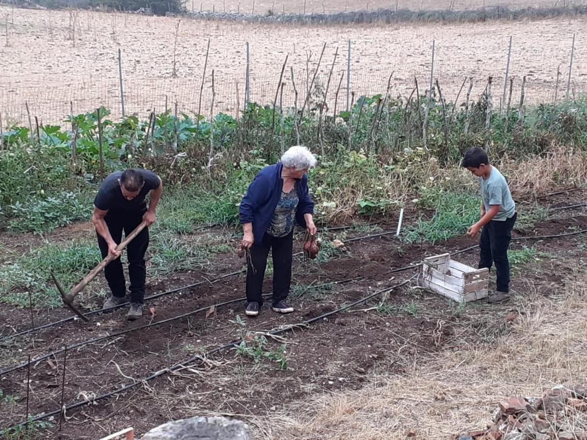 Agriturismo S'Armidda Seùlo エクステリア 写真