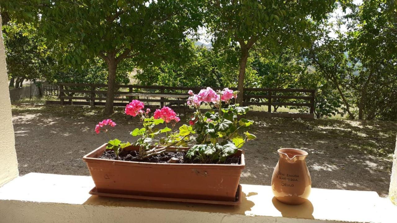Agriturismo S'Armidda Seùlo エクステリア 写真