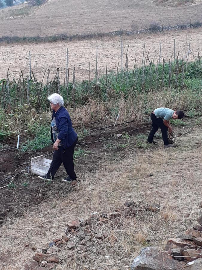 Agriturismo S'Armidda Seùlo エクステリア 写真