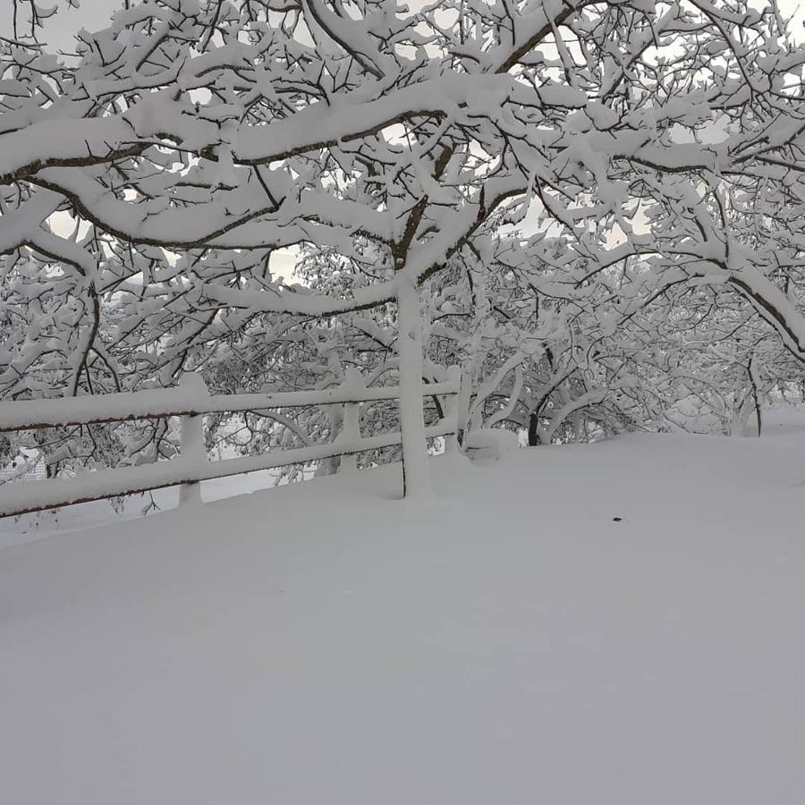 Agriturismo S'Armidda Seùlo エクステリア 写真