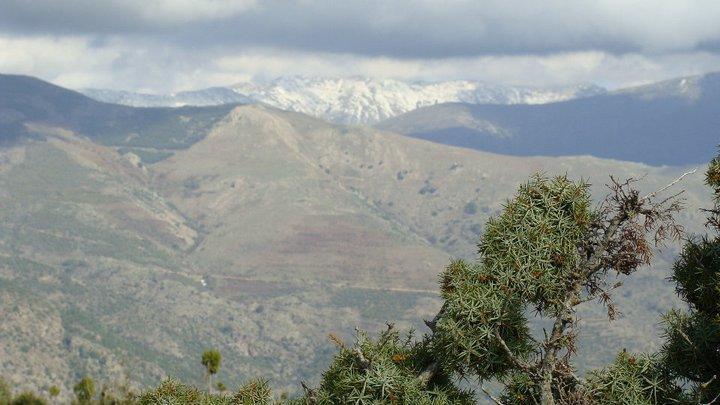 Agriturismo S'Armidda Seùlo エクステリア 写真