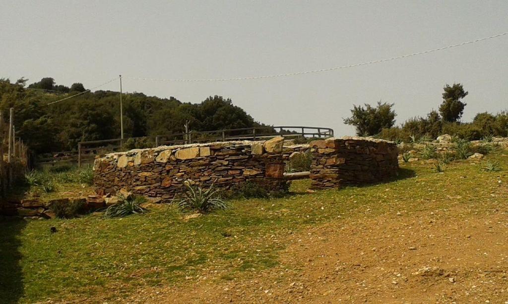 Agriturismo S'Armidda Seùlo エクステリア 写真